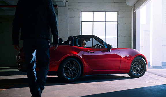 Estetica 50 50 576x338