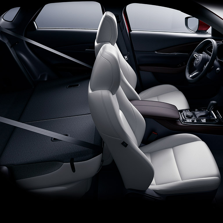 Touts paquetedos esteticaautomotriz